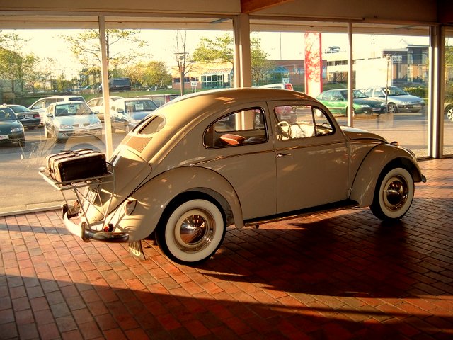 10-1953_volkswagen_beetle-pic-38721