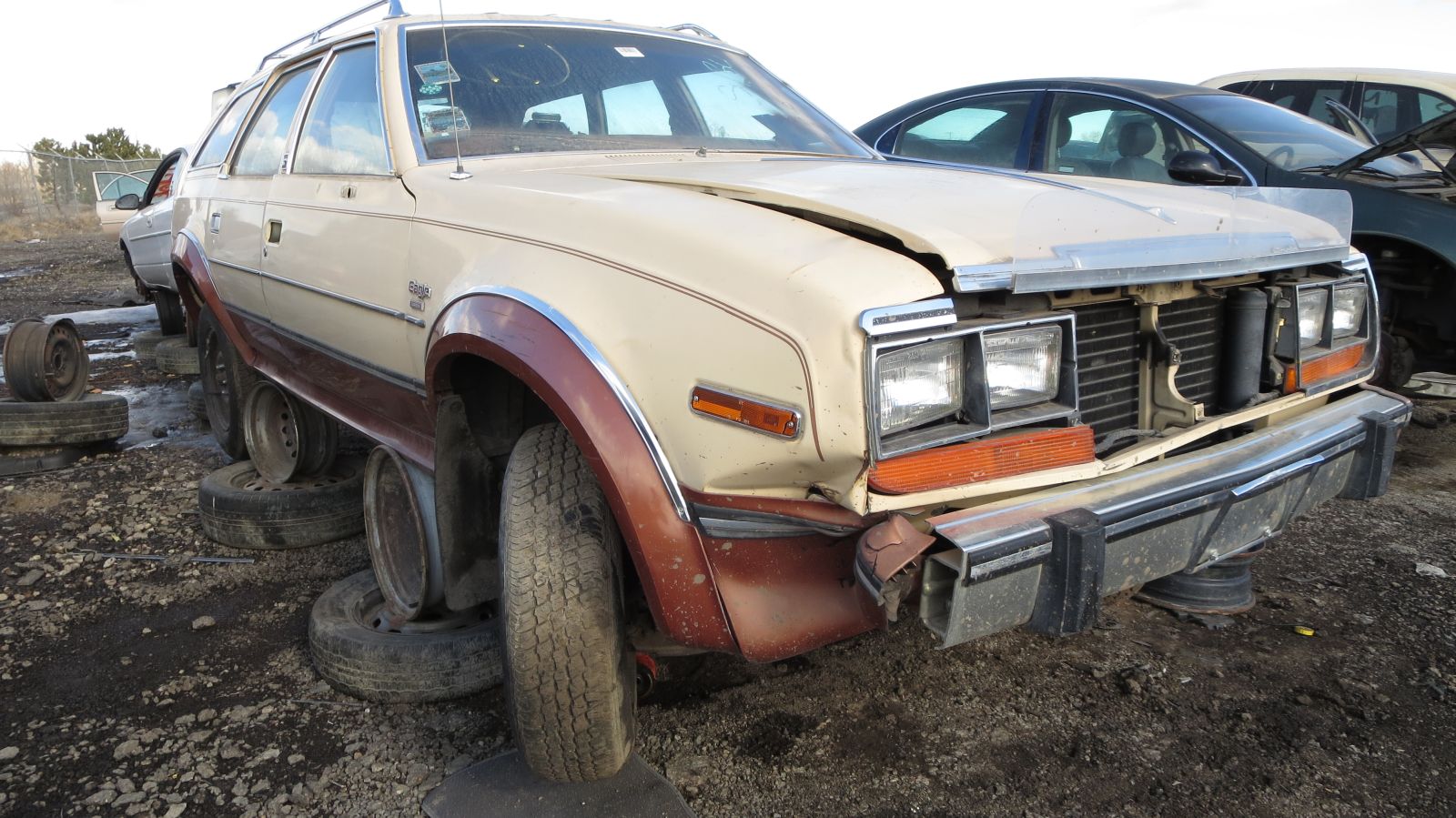 18 - 1982 AMC Eagle wagon in Colorado junkyard - photo by Murilee Martin