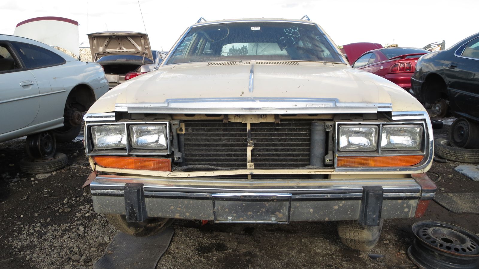 19 - 1982 AMC Eagle wagon in Colorado junkyard - photo by Murilee Martin